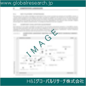 グローバルリサーチ調査資料のイメージ